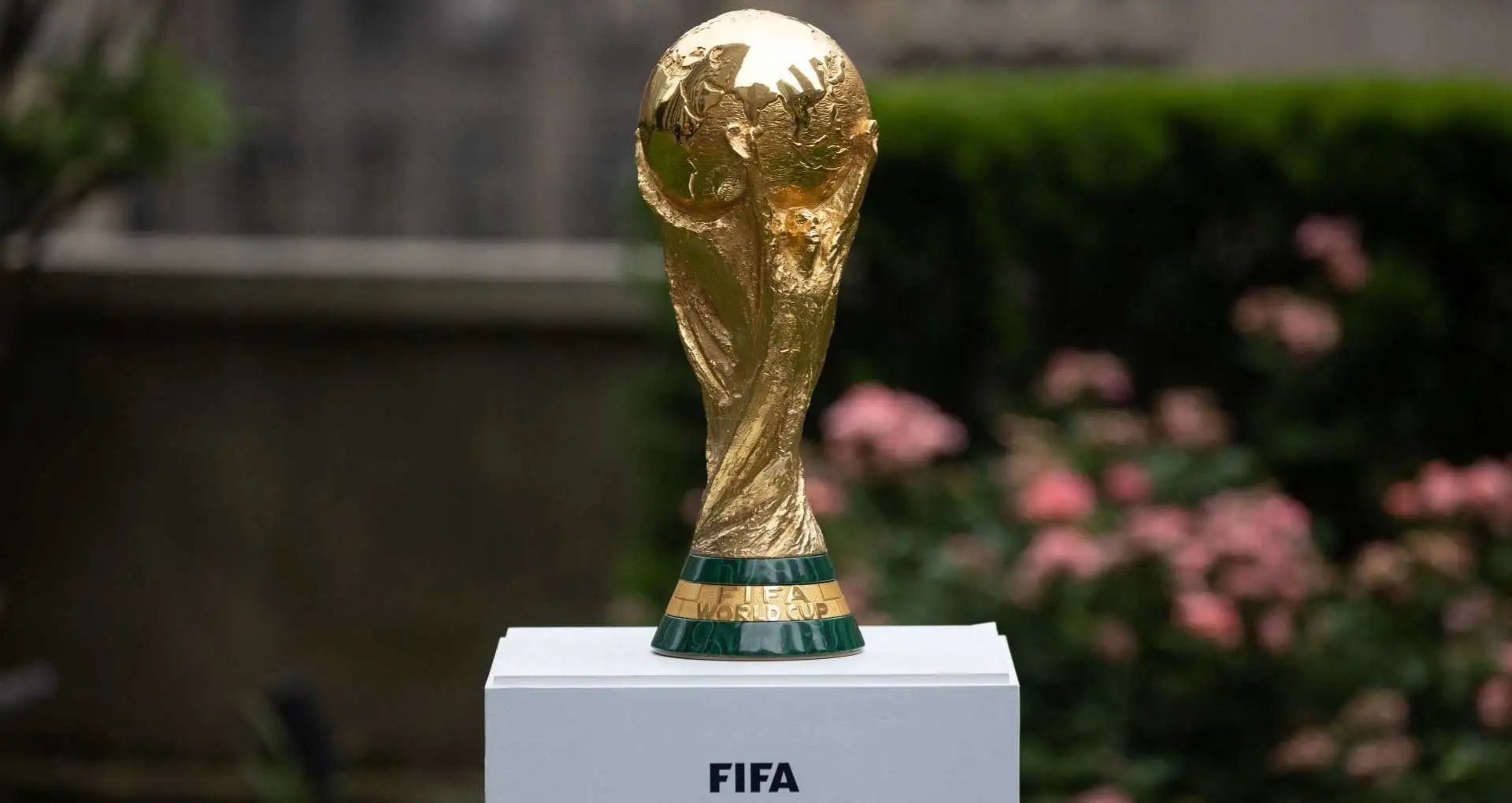 Cara Lolos Piala Dunia Zona Asia