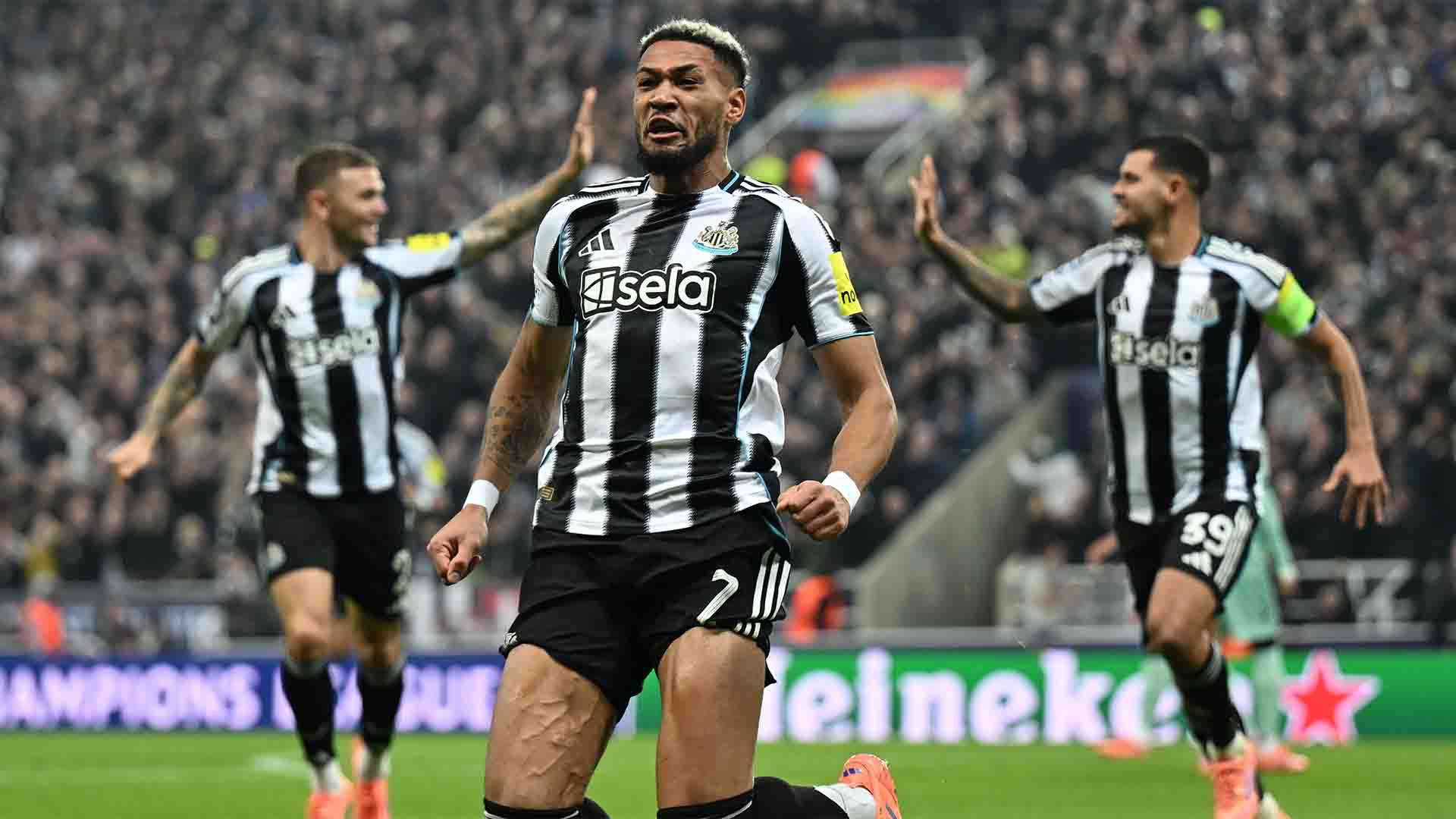 Burn dan Joelinton Antar Newcastle Menang 2-0 atas Athletic Club