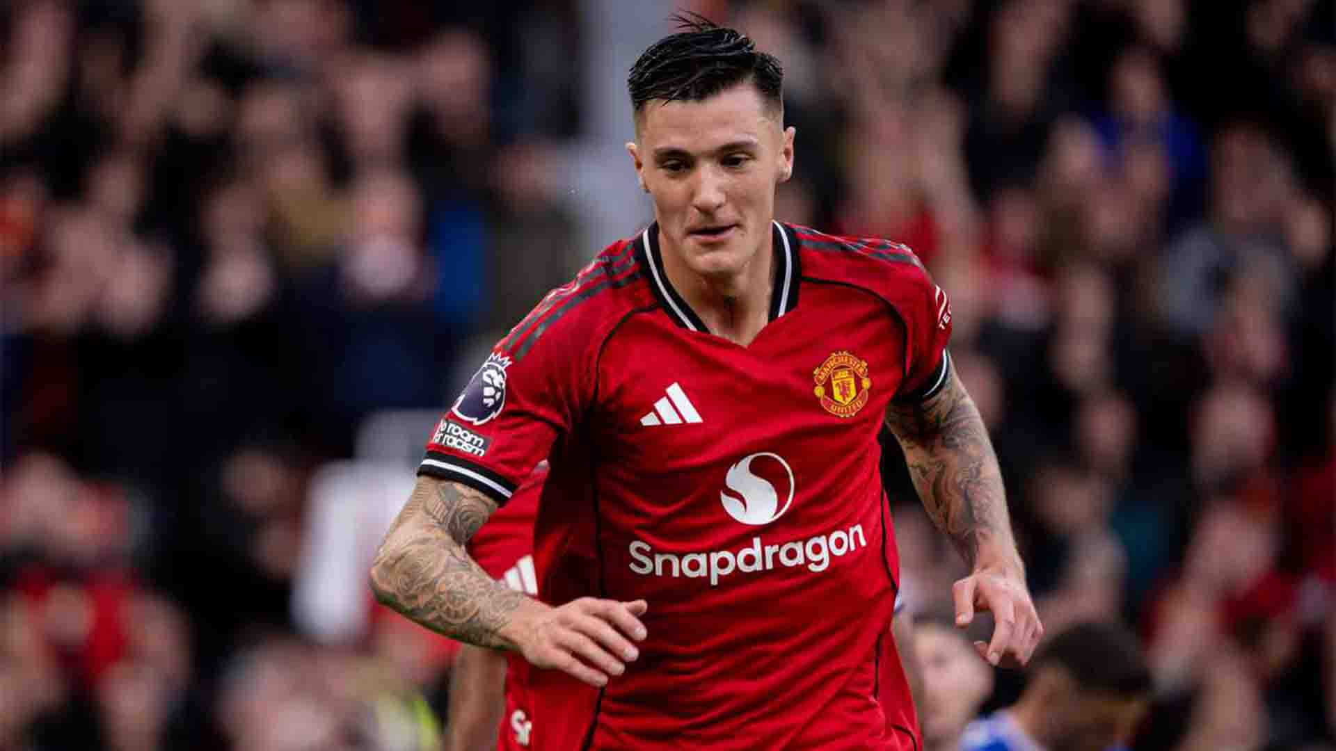 Sesko Absen Bersama Slovenia di Laga Kunci Kualifikasi Piala Dunia Akibat Cedera